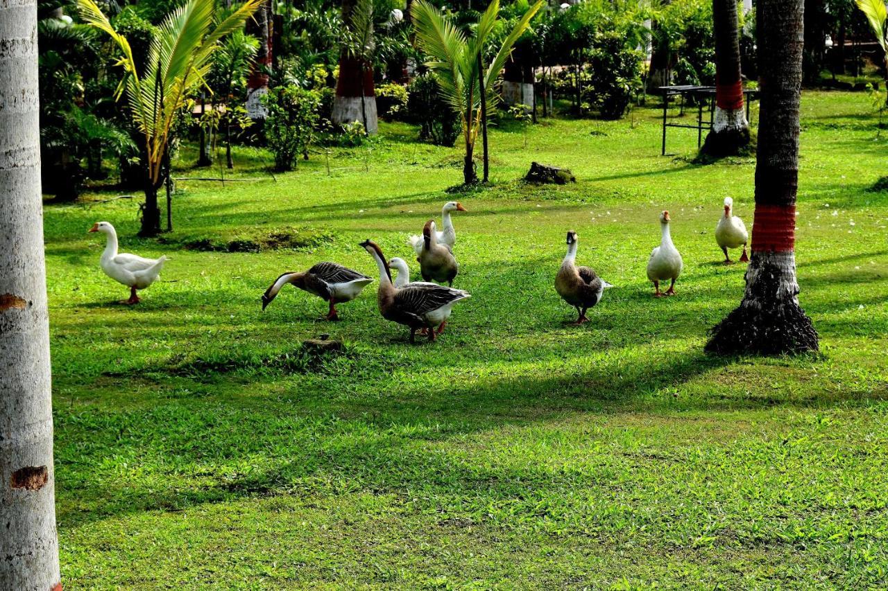 Toshali Sands Nature Escape Campsite 4*